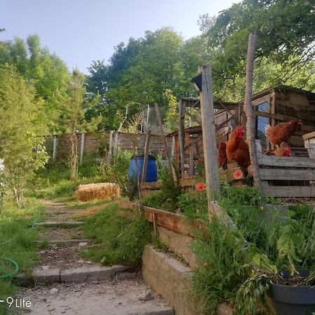 La Cabane Des Trappeurs Crépy-en-Valois Exteriör bild