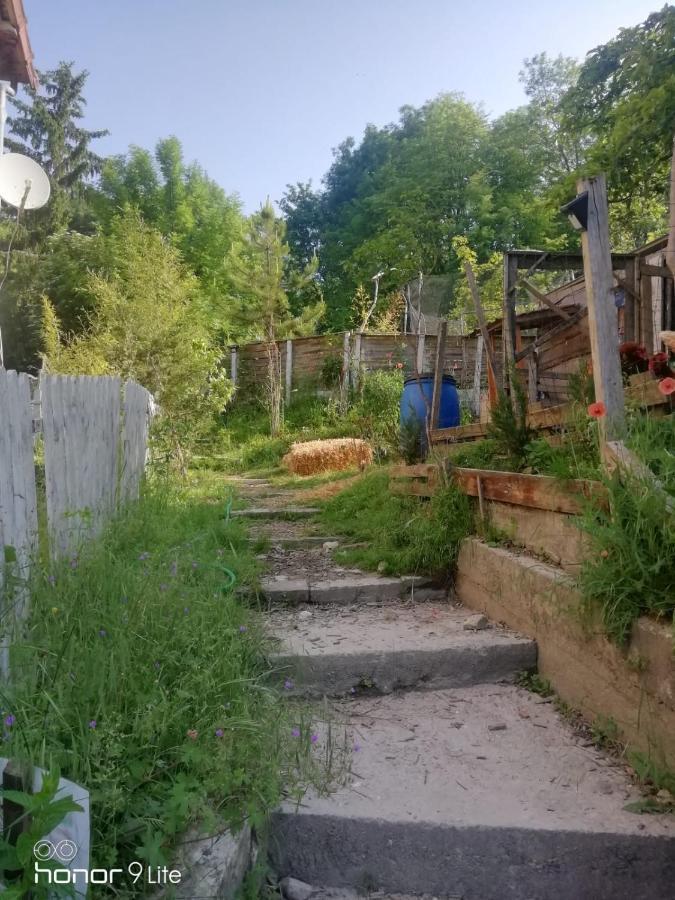 La Cabane Des Trappeurs Crépy-en-Valois Exteriör bild