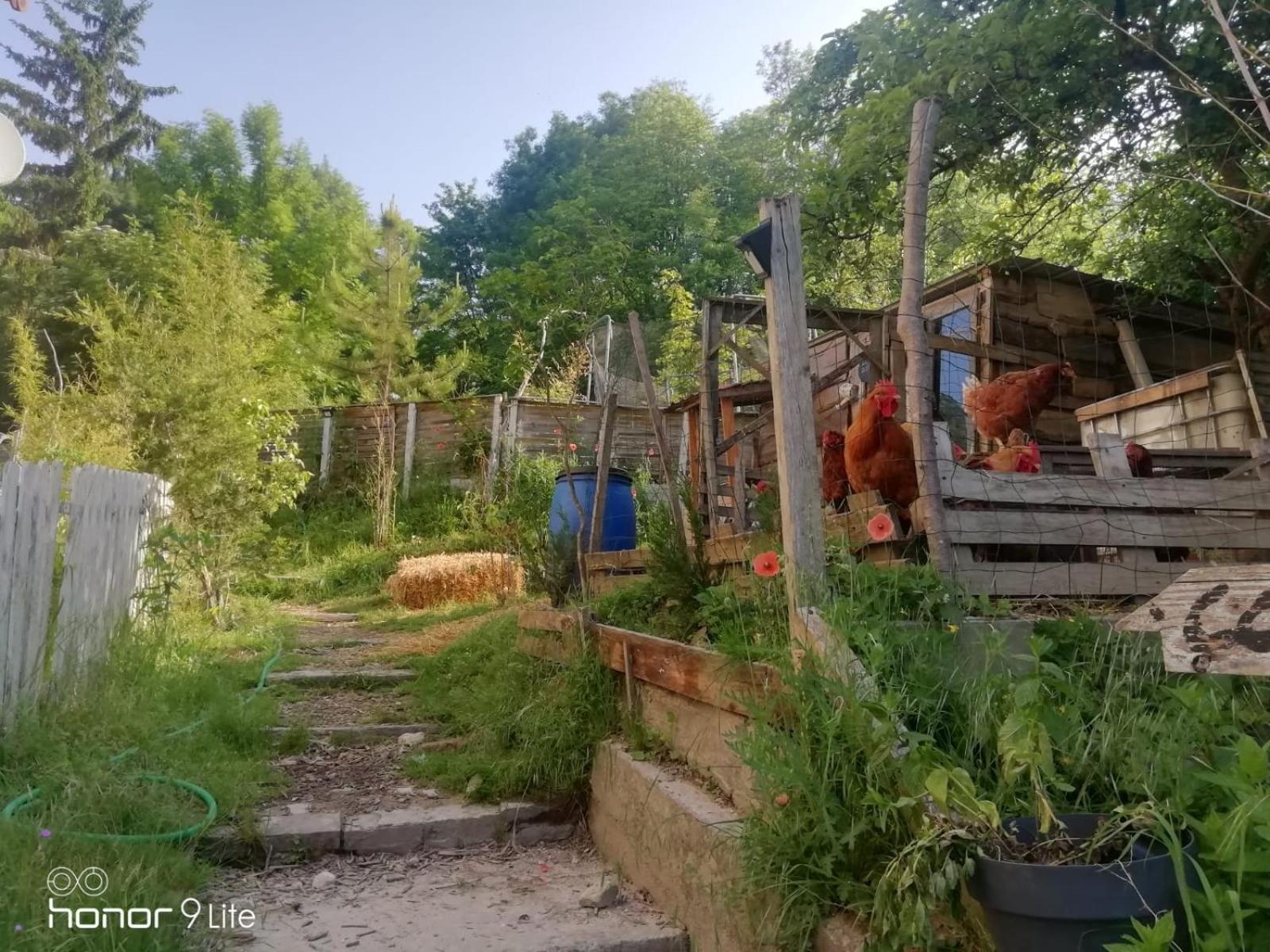 La Cabane Des Trappeurs Crépy-en-Valois Exteriör bild